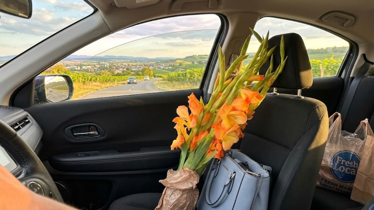 15 Times Strangers Showed More Kindness 