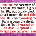 Kindness Is a Language