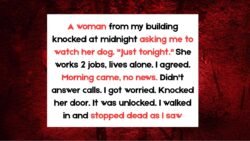 Stories Showing Kindness