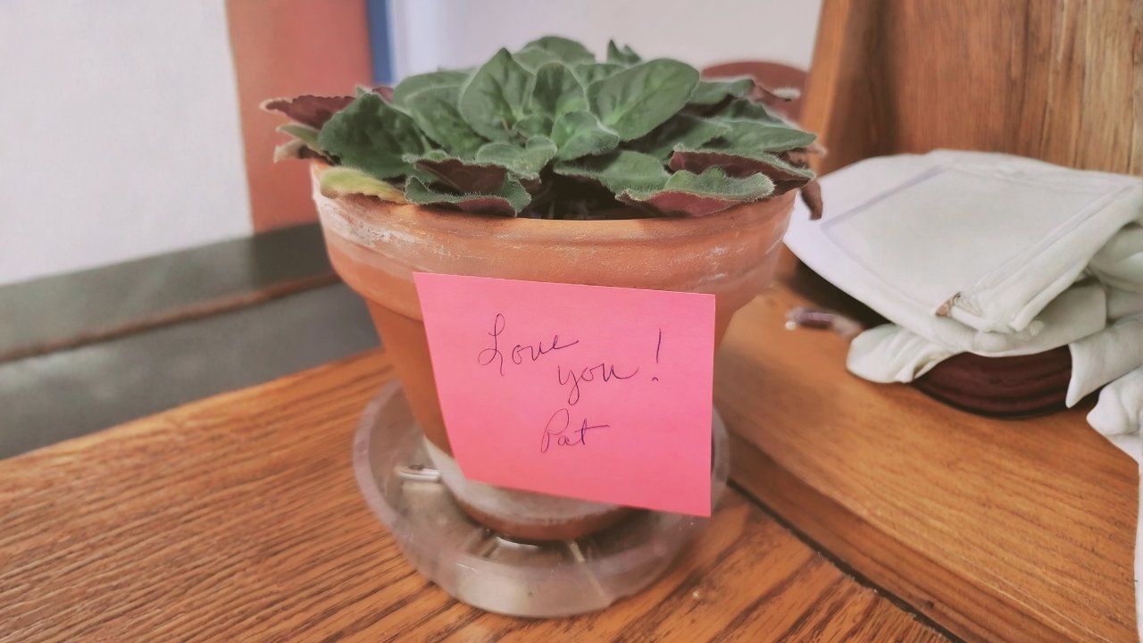 16 Heartwarming Stories of Bosses Whose Empathy and Generosity