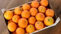 Milano, la storia di Gianna: le “arance del Corriere” che non ha mai dimenticato